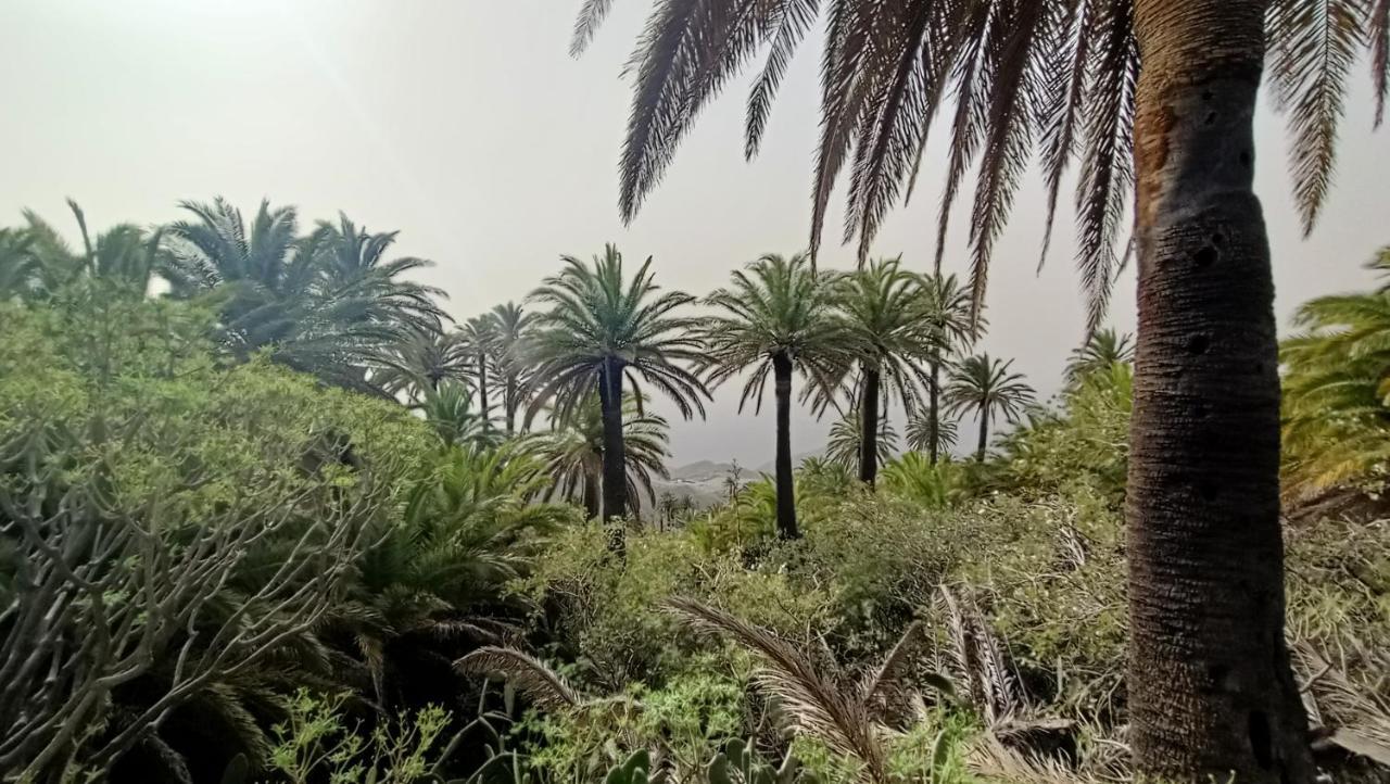 Alquilaencanarias Casa La Playa La Gomera Holiday home *